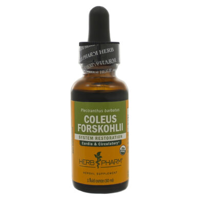 Coleus Forskohlii - 1 ounce