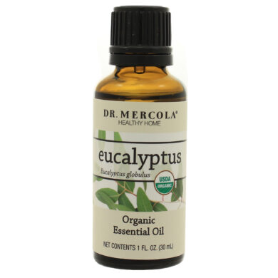 Organic Eucalyptus Essential Oil - 1 ounce
