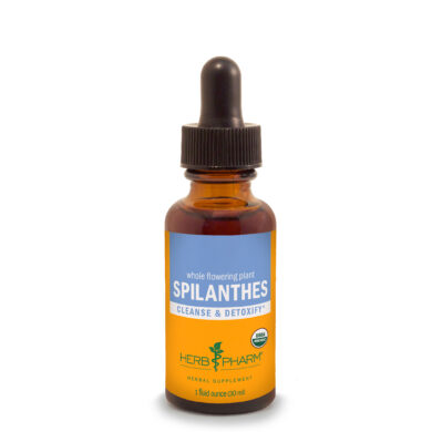 Spilanthes - 1 ounce
