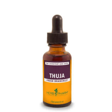 Thuja - 1 ounce