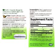 Alternative view of Ginger Root - 100 capsules