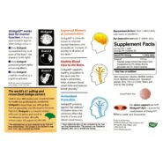 Alternative view of Ginkgold Max 120mg - 60 tablets