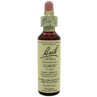 Gorse - 20 milliliters