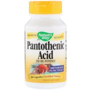 Pantothenic Acid - 100 capsules